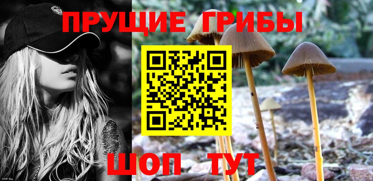 Галлюциногенные грибы прущие грибы  что такое наркотик  Балтийск  Псилоцибиновые грибы Psilocybe  Вход с VPN 