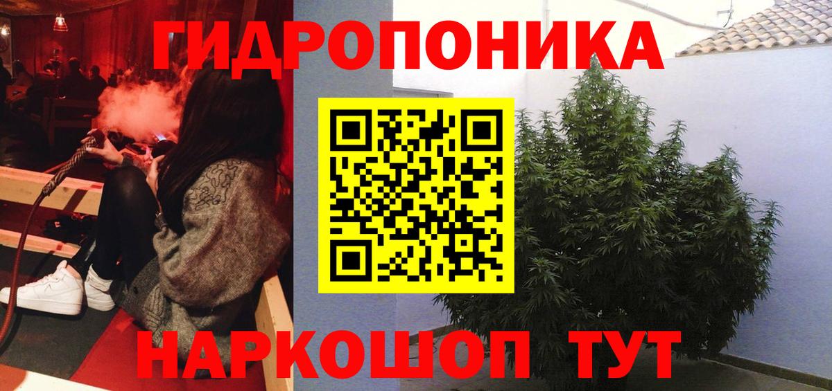 Балтийск  Марихуана Amnesia  Марихуана планчик  Каннабис SATIVA & INDICA  Вход с VPN 